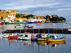 boats in a calm harbor
