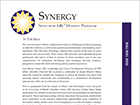 synergy-12-cover