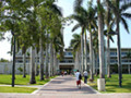 Library Management Skills Institute to Be Held in Florida March 6–8: Register by February 13