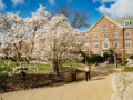 Save the Date: ARL Digital Scholarship Institute to Be Hosted by University of Illinois June 15–19, 2020