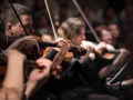 Auburn University Libraries Provide Streaming Concerts for Music Students