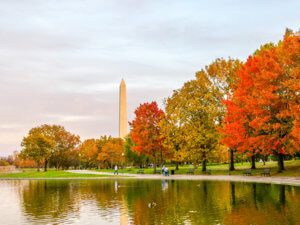 photo of Washington Monument amongst trees with orange leaves