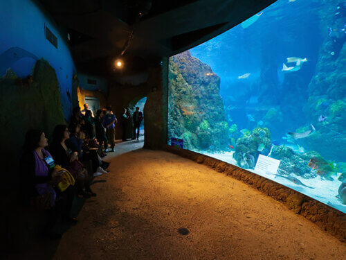 photo of Spring 2023 Association Meeting attendees at Denver Aquarium