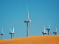 How Libraries Can Lead the Way in Campus Decarbonization