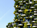 Sustainability Series: Virtual Workshops June–December