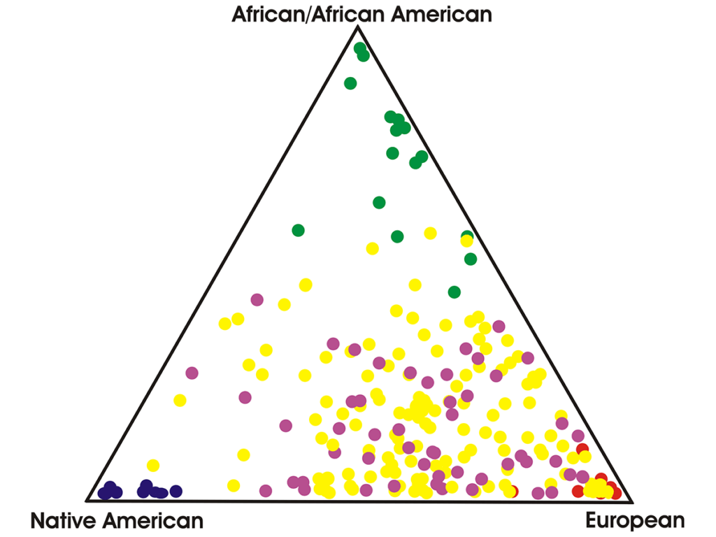 Illustration of a triangle with color-coded dots representing concentration of three ancestries: African/African American, Native American, and European
