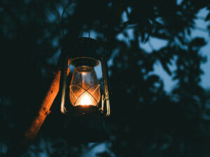 photo of a lit lantern hanging from a tree 